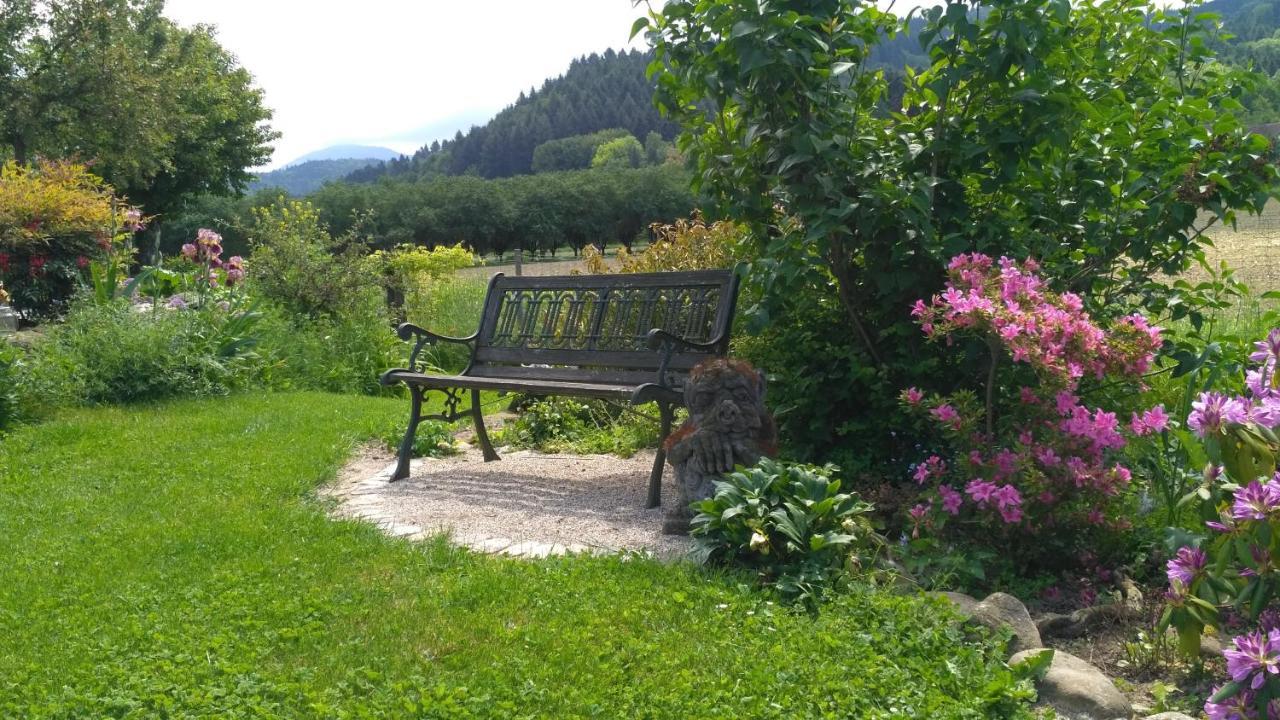 Ferienwohnung Belchenblick Staufen-en-Brisgau Extérieur photo
