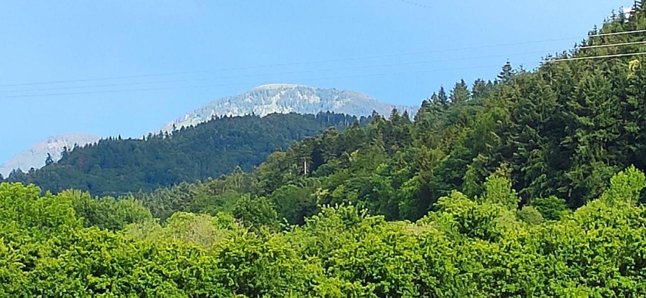 Ferienwohnung Belchenblick Staufen-en-Brisgau Extérieur photo
