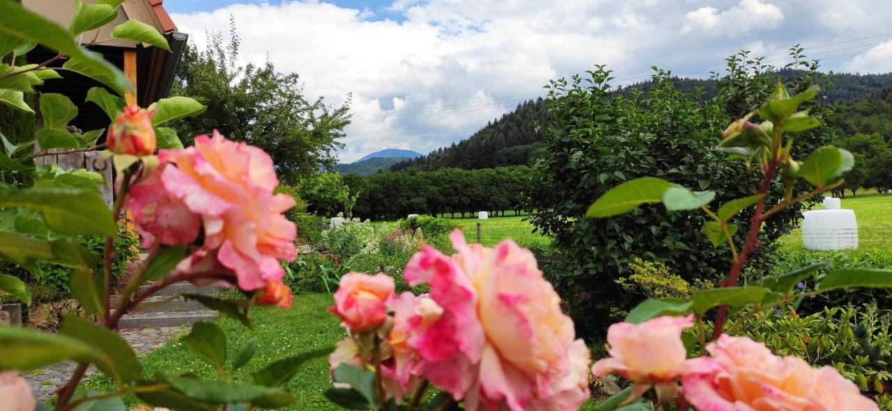 Ferienwohnung Belchenblick Staufen-en-Brisgau Extérieur photo