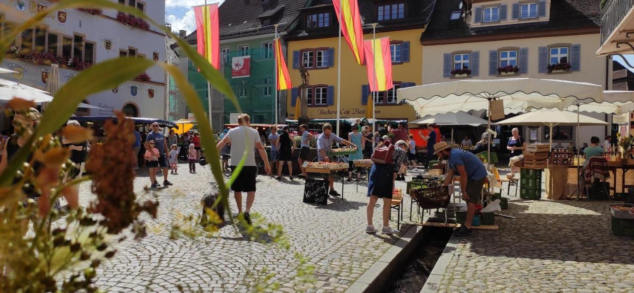 Ferienwohnung Belchenblick Staufen-en-Brisgau Extérieur photo