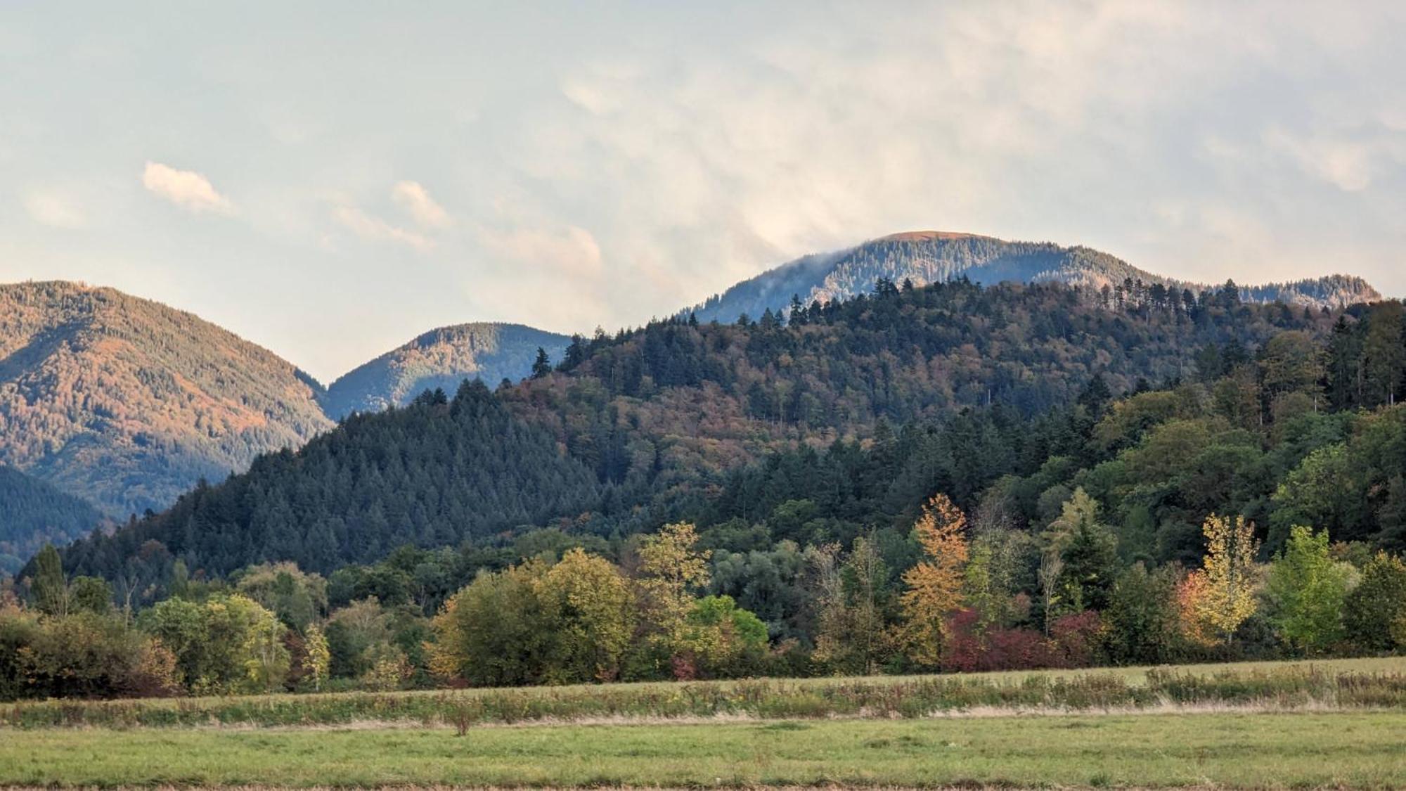 Ferienwohnung Belchenblick Staufen-en-Brisgau Extérieur photo